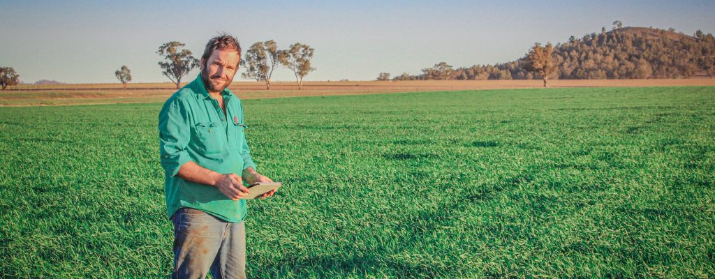Thriving with data as a first-generation farmer