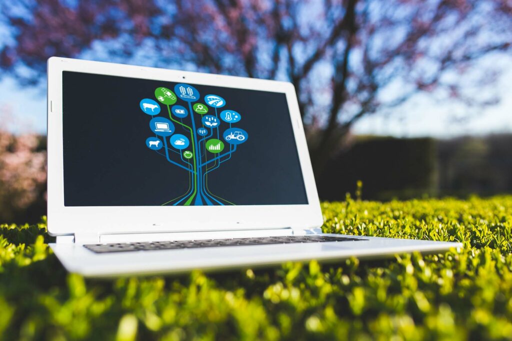 laptop on grass with Pairtree technology tree