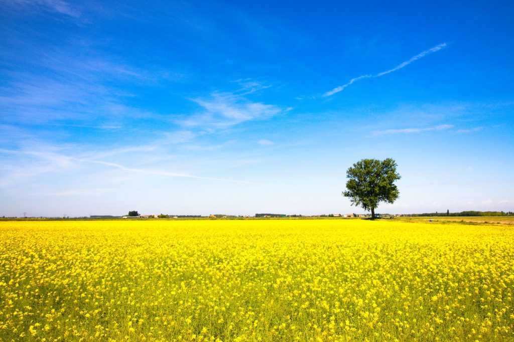 agtech helps agronomists do their job